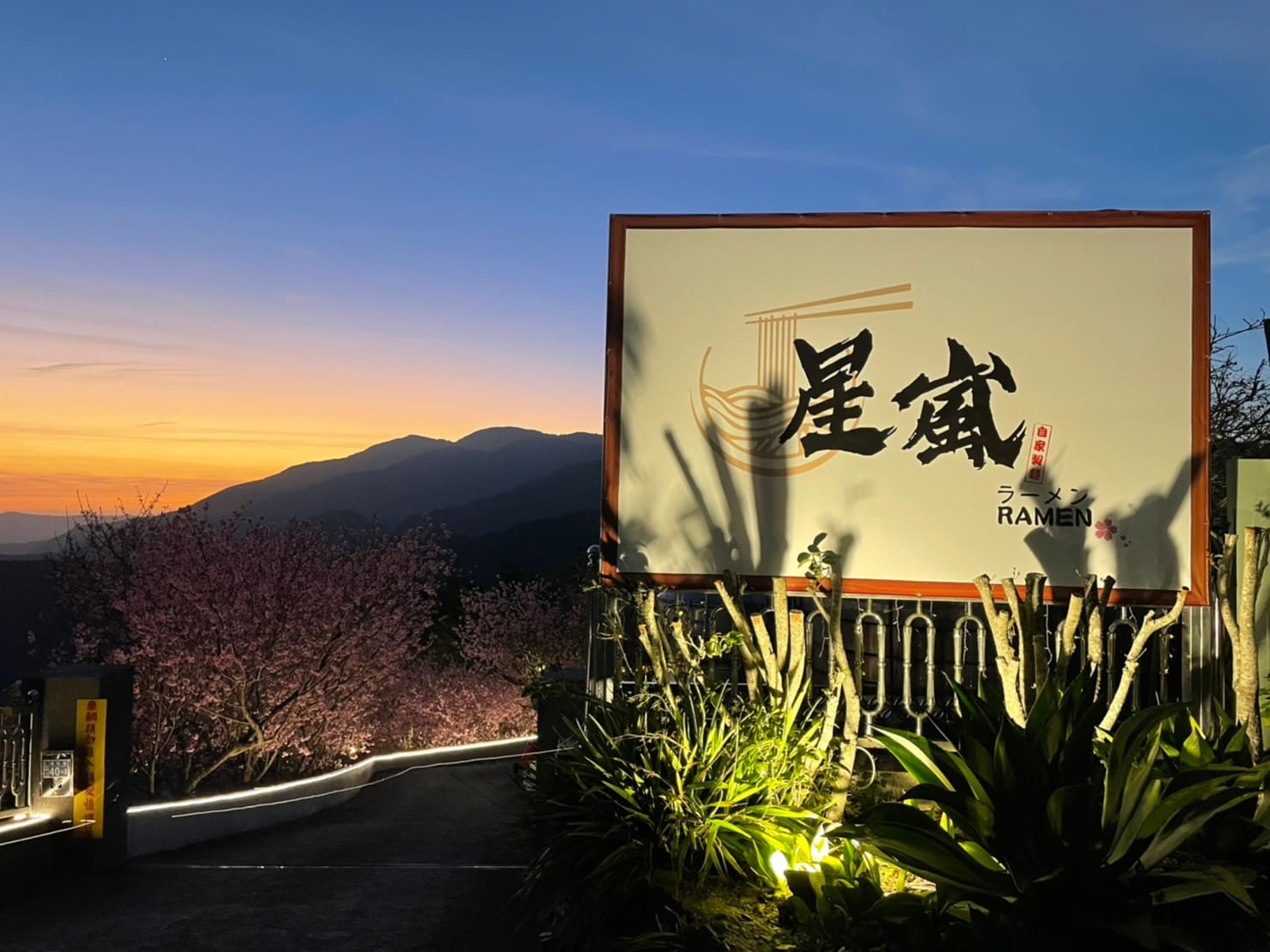 清境櫻花與旅行風景